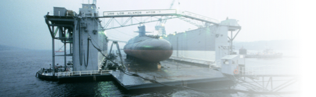 Floating Drydocks