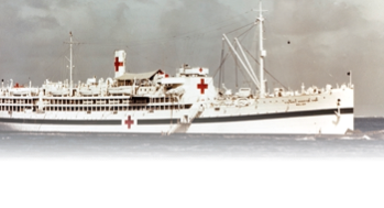 Hospital Ship - Mobile Image